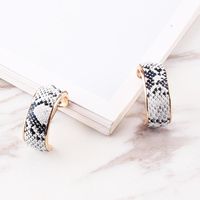 Womens Geometric Alloy Earrings Nhjq122818 main image 6