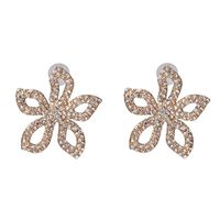 Womens Floral Rhinestone Alloy Earrings Nhjj122917 main image 7