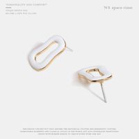 Neue Koreanische Einfache Silberne Nadel Ohrringe Geometrisch Trend Ige Ohrringe Ohr Schmuck Quelle Hersteller main image 4