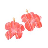 Womens Floral  Hollow Acrylic Earrings Nhll123871 main image 6
