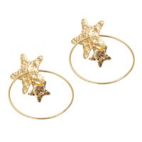 Womens Geometric Creative Features Paint Alloy Earrings Nhjq124082 main image 9