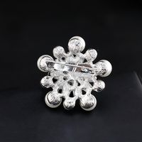 Womens Floral Inlay Beads Alloy Danrun Jewelry Brooches Nhdr124815 main image 5