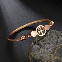 Fashion Flower 303 Stainless Steel Stainless Steel 18K Gold Plated No Inlaid In Bulk main image 9