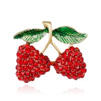 Womens Fruit Plating Alloy Other Brooches Nhdr124928 main image 2