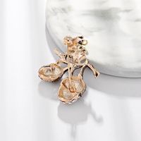 Womens Pine Cone Oil Hazelnut Pine Nuts  Alloy Brooches Dr190505120131 main image 5