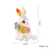Womens Animal Drip Cute Personality Drip Rabbit  Alloy Brooches Dr190505120189 main image 3