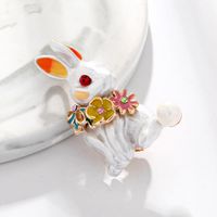 Womens Animal Drip Cute Personality Drip Rabbit  Alloy Brooches Dr190505120189 main image 4