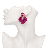 Womens  Simple And Stylish Leaf Plastic / Resin Earrings Jj190505120241 main image 4