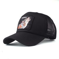 Fashion Wild Casual Embroidered Hats Zl190506120350 main image 1
