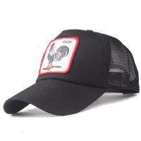 Fashion Wild Casual Embroidered Hats Zl190506120350 main image 20