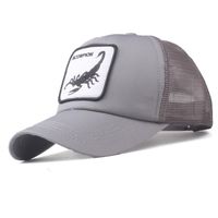 Fashion Wild Casual Embroidered Hats Zl190506120350 main image 17