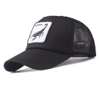 Fashion Wild Casual Embroidered Hats Zl190506120350 main image 9