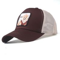 Fashion Wild Casual Embroidered Hats Zl190506120350 main image 4