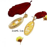 Womens Exquisite Contrast Color Elliptical Color Resin Earrings Om190506120440 main image 14