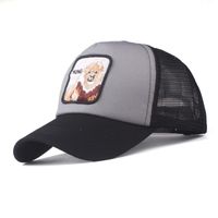 Fashion Wild Casual Embroidered Hats Zl190506120350 sku image 2