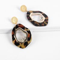 Womens Geometric Hollow Belt Drill  Acrylic Earrings Nhll120581 main image 1