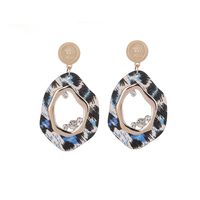 Nouveau Bijoux Européens Et Américains Personnalité De La Mode Ovale Acétate Imprimé Léopard Boucles D'oreilles Irrégulière Alliage Creux Diamant Boucles D'oreilles main image 6