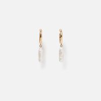 Womens Shell Plating Simple And Stylish  Alloy Earrings Nhll120587 main image 5