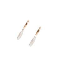 Womens Shell Plating Simple And Stylish  Alloy Earrings Nhll120587 main image 6