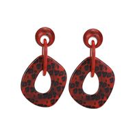 Womens Geometric Fashion Plastic Resin Earrings Nhll120612 main image 5