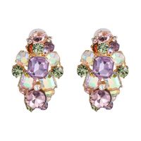 Womens Floral Rhinestone Alloy Earrings Nhjj126369 sku image 1