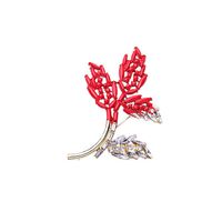 Womens Leaf Rhinestone Red Branches Alloy Brooches Nhqd126633 main image 4