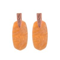 Womens Geometry Electroplating Acrylic Alloy Earrings Nhqd126729 main image 10