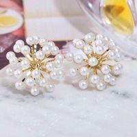 Womens Fashion S925 Alloy Needle Beads Flower Fireworks Stud Earrings Nhwk127228 main image 4