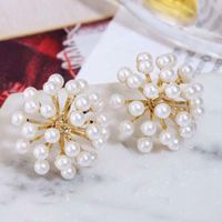 Womens Fashion S925 Alloy Needle Beads Flower Fireworks Stud Earrings Nhwk127228 main image 5