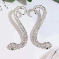 Fashion Women Micro-inlaid Zircon Snake-shaped Earrings Nhwk127264 main image 4