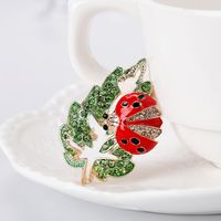 Womens Insect Plating Alloy Other Brooches Nhdr127367 main image 5