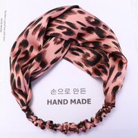 Korea Dongdaemun, Der Gleiche Stoff, All-match-stirnband Mit Leoparden Muster, Koreanisches Einfaches Mori-damen-stirnband Mit Breiter Krempe, B943 main image 3