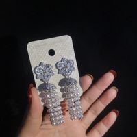 Fashion Micro-inlaid Zircon Fringed Beads Flower Earrings Nhbr129014 main image 5