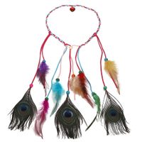 Womens Feather Handmade Feather Hair Accessories Nhjq129557 main image 15