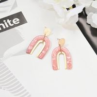 U-type Acetate Board Pink Textured Alloy Earrings Nhxs129819 main image 1