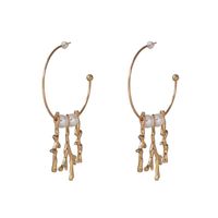 Simple Geometric Tassel Alloy Inlaid Beads Earrings Nhjj132901 main image 7