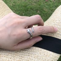 Europäischer Und Amerikanischer Grenz Überschreiten Der Schmuck Retro-übertreibung Punk-stil Mode Schmuck Persönlichkeit Einfache Schlangen Ring Ring Frauen main image 3