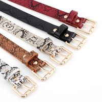 Fashion Woman Imitation Leather Snake Metal Buckle Thin Belt Strap For Jeans Multicolor Nhpo134197 main image 1