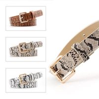 Fashion Woman Imitation Leather Snake Metal Buckle Thin Belt Strap For Jeans Multicolor Nhpo134197 main image 3