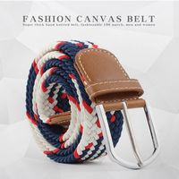 Fashion Woman Elastic Braided Pin Buckle Belt Strap For Jeans Skirt Multicolor Nhpo134269 main image 26