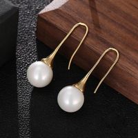 Simple Temperament Personality Beads Earrings Nhrr134289 main image 5
