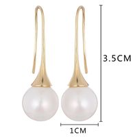 Simple Temperament Personality Beads Earrings Nhrr134289 main image 6