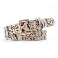 Fashion Woman Imitation Leather Snake Metal Buckle Thin Belt Strap For Jeans Multicolor Nhpo134197 sku image 2