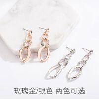 Coréenne Capricieux Personnalisé Et Tous-match Simple Longue Boucles D'oreilles En Métal Femelle En Ligne Influenceur Boucles D'oreilles Frosty Style Boucles D'oreilles main image 4