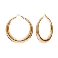 Simple Geometric Mirror Ring Metal Earrings Nhxr130555 main image 5