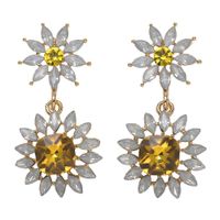 2019 Sommer Coole Kreative Diamant Ohrringe Europäische Und Amerikanische Übertriebene Wilde Diamant Edelsteine Blumen Weibliche Ohrringe main image 10