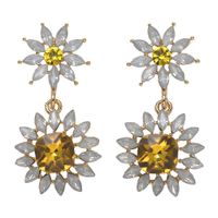 Creative Wild Rhinestone Gemstone Floral Earrings Nhjq130700 sku image 1
