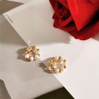 Japanische Und Koreanische Neue Produkte Süßwasser Perlen Perlen, Stilvolles Temperament, Elegante Durchbohrte Stein Ohrringe main image 4