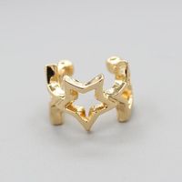 Wholesale Jewelry Geometric Alloy No Inlaid Plating Earrings main image 9
