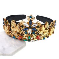 Womens Insect Braided Alloy Hair Band &amp; Headbands Nhnt136250 main image 2